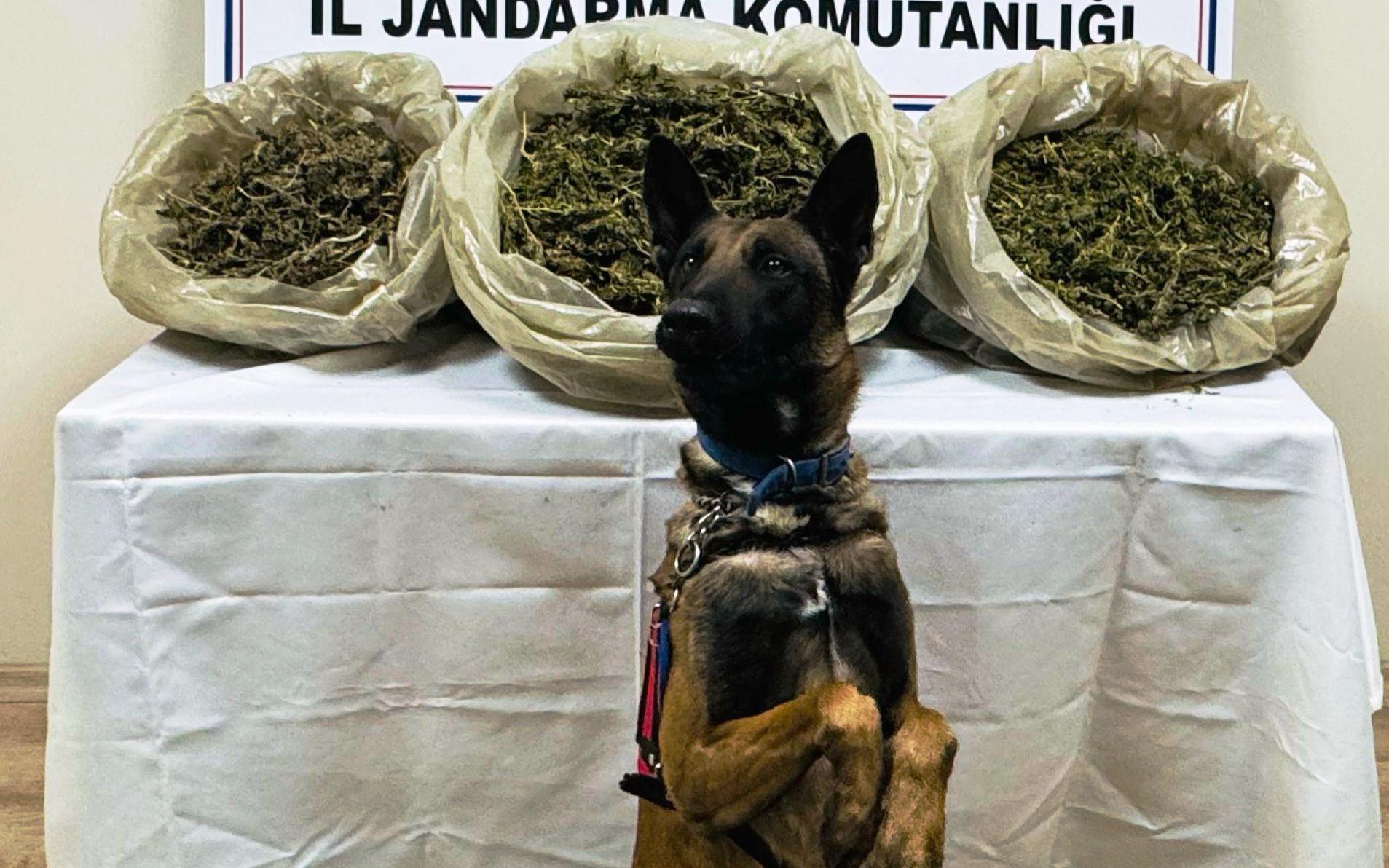 Batman’da flaş operasyon! Kıskıvrak yakalandı