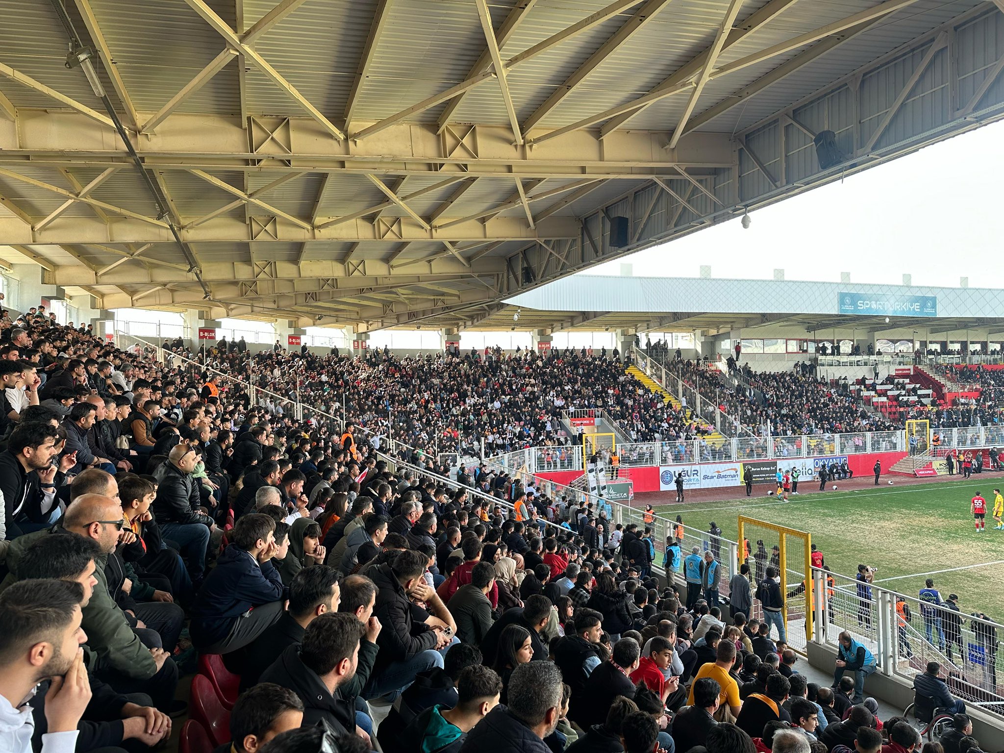 Yarasalardan o iddialara sert yanıt