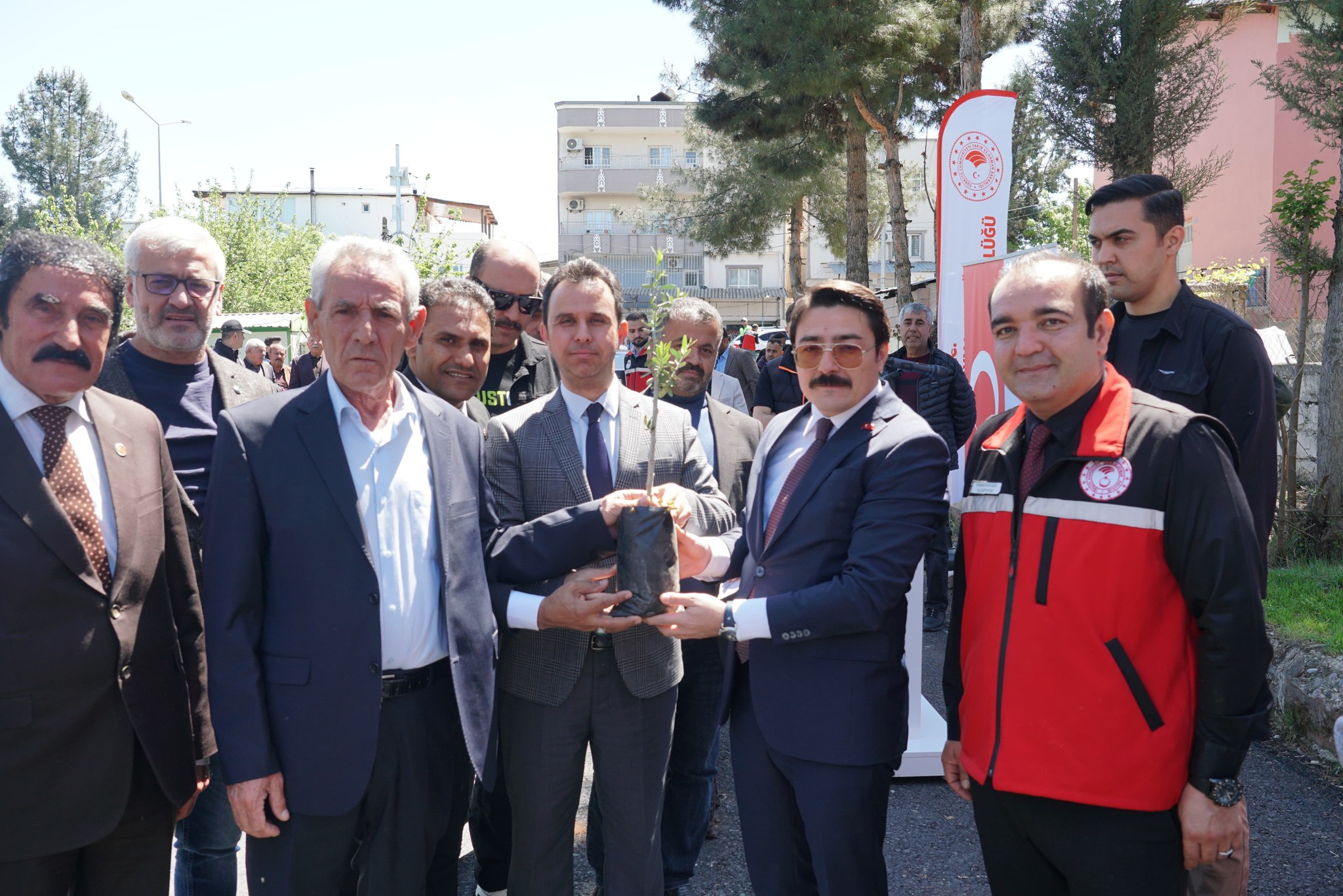 Beşiri’de çiftçilere 2 bin 500 adet zeytin fidanı dağıtıldı