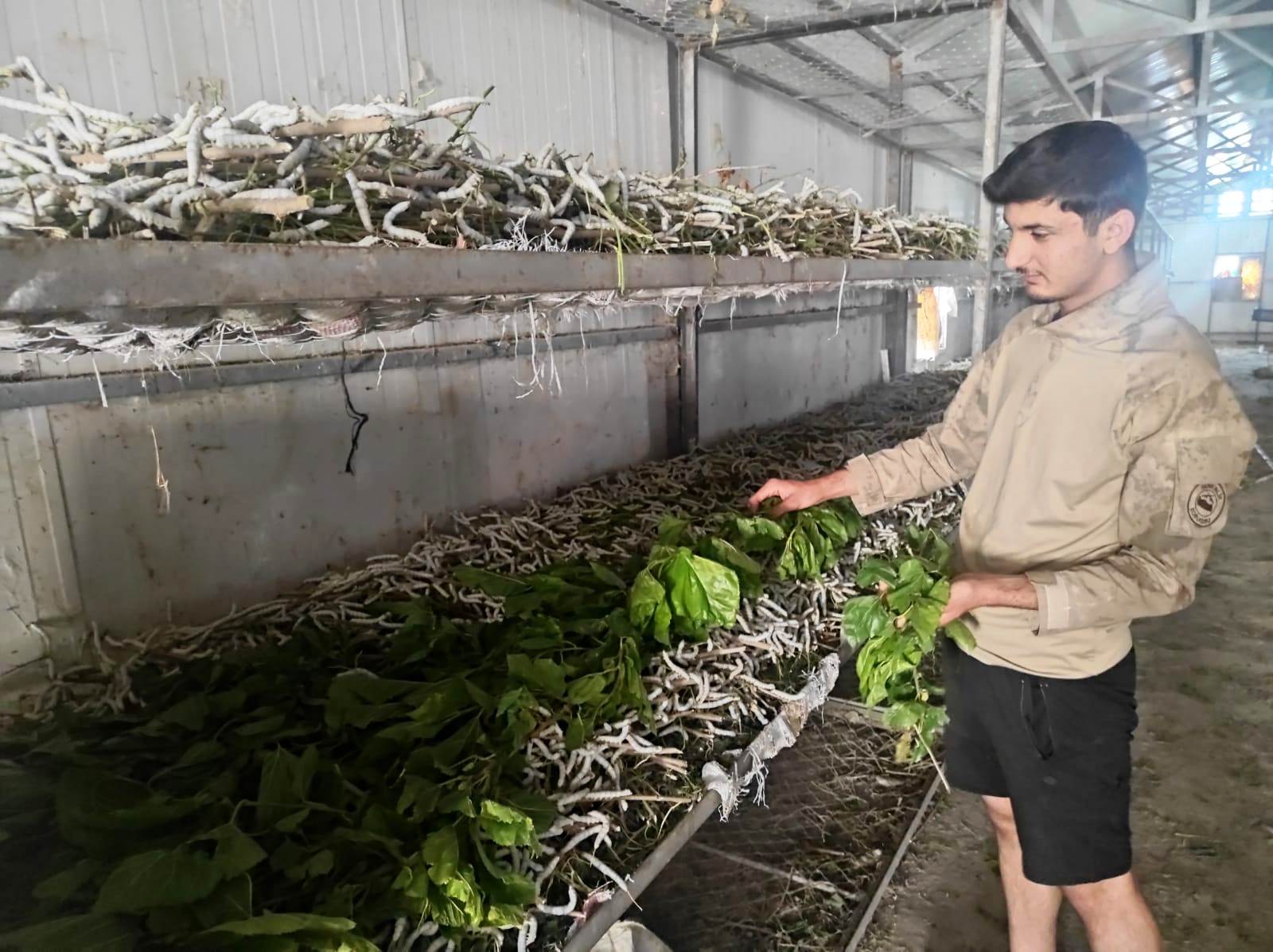 Sason’da 150 Ailenin Geçim Kapısı Oldu