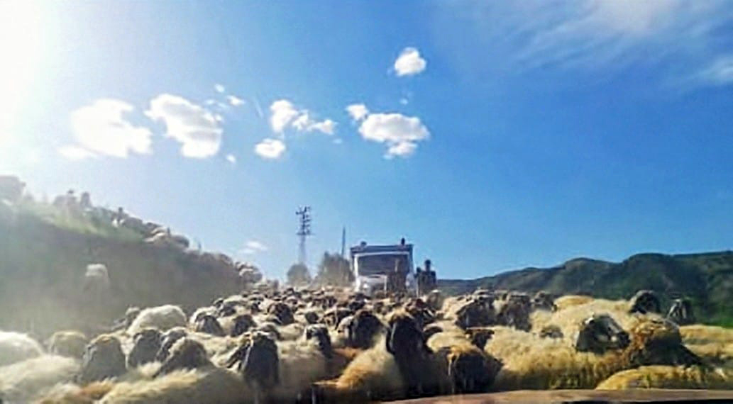Göçerlerin yolculuğu başladı