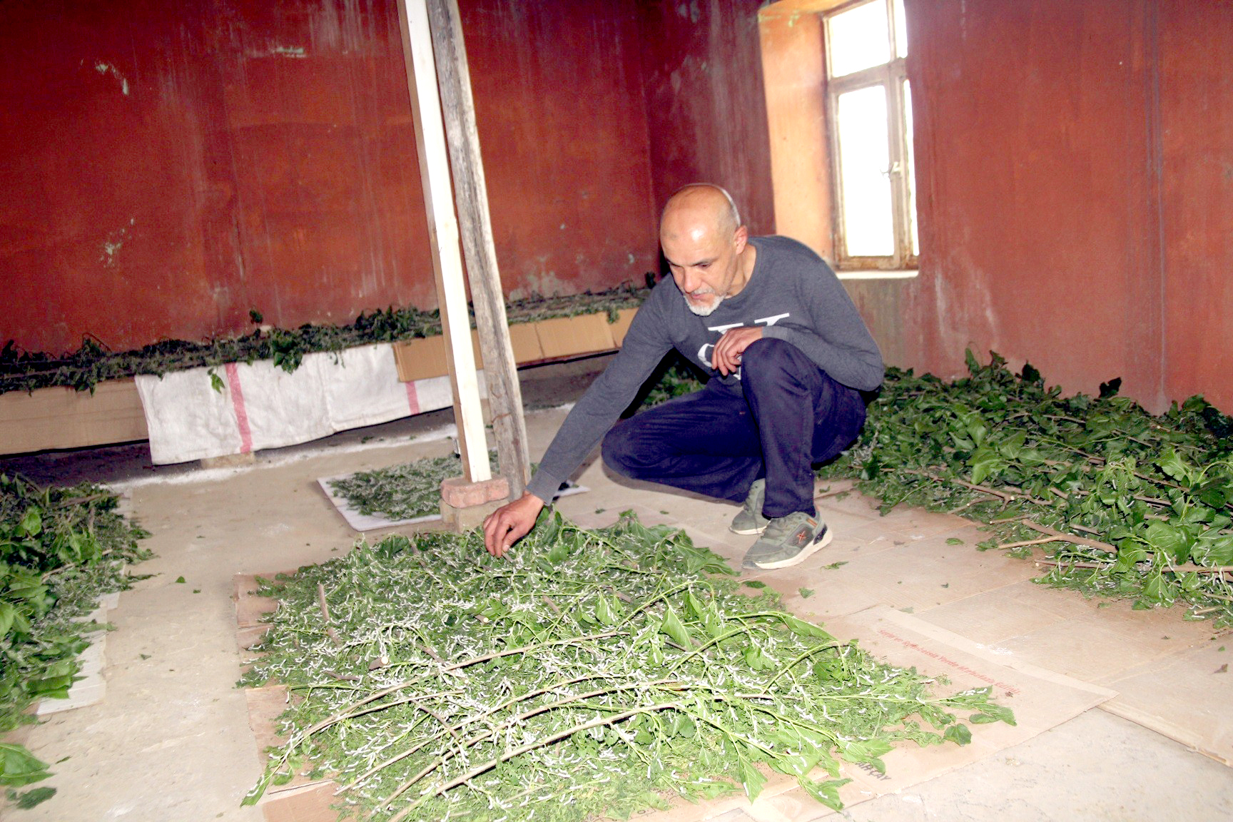 40 gün 60 bin TL kazandırıyor