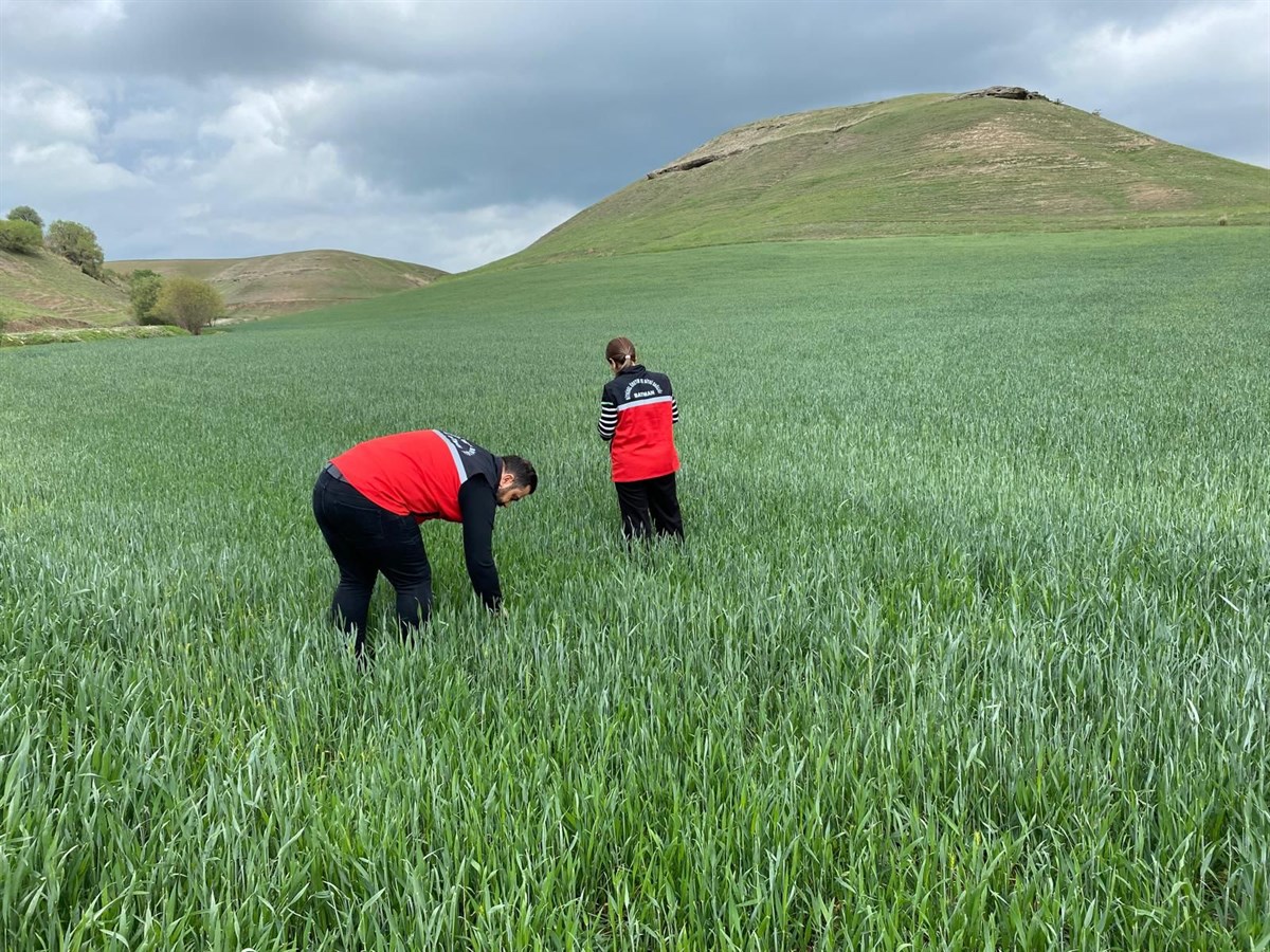 Batman’da 410 bin dekar alanda çalışma başlatıldı