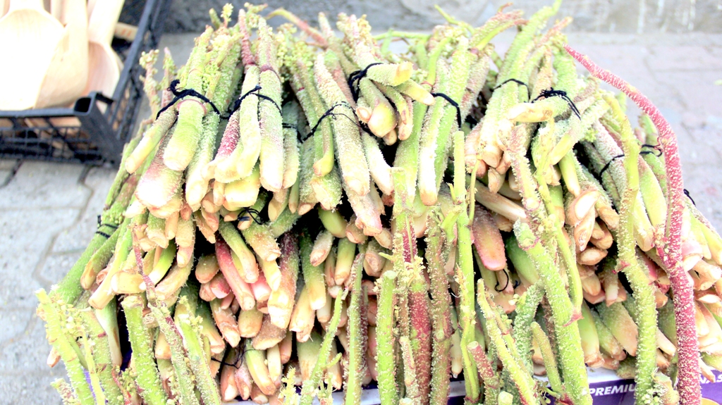 Şifa Deposu tezgâhlarda