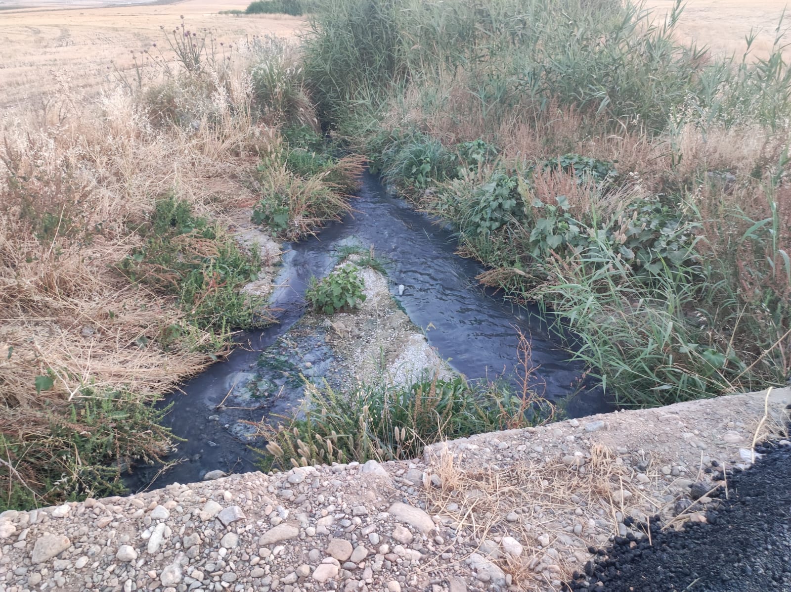 Çevrecilerden sert tepki