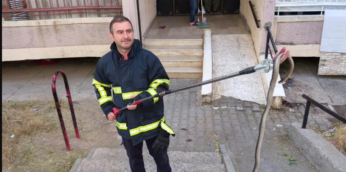 Batman’da bir binada yılan paniği