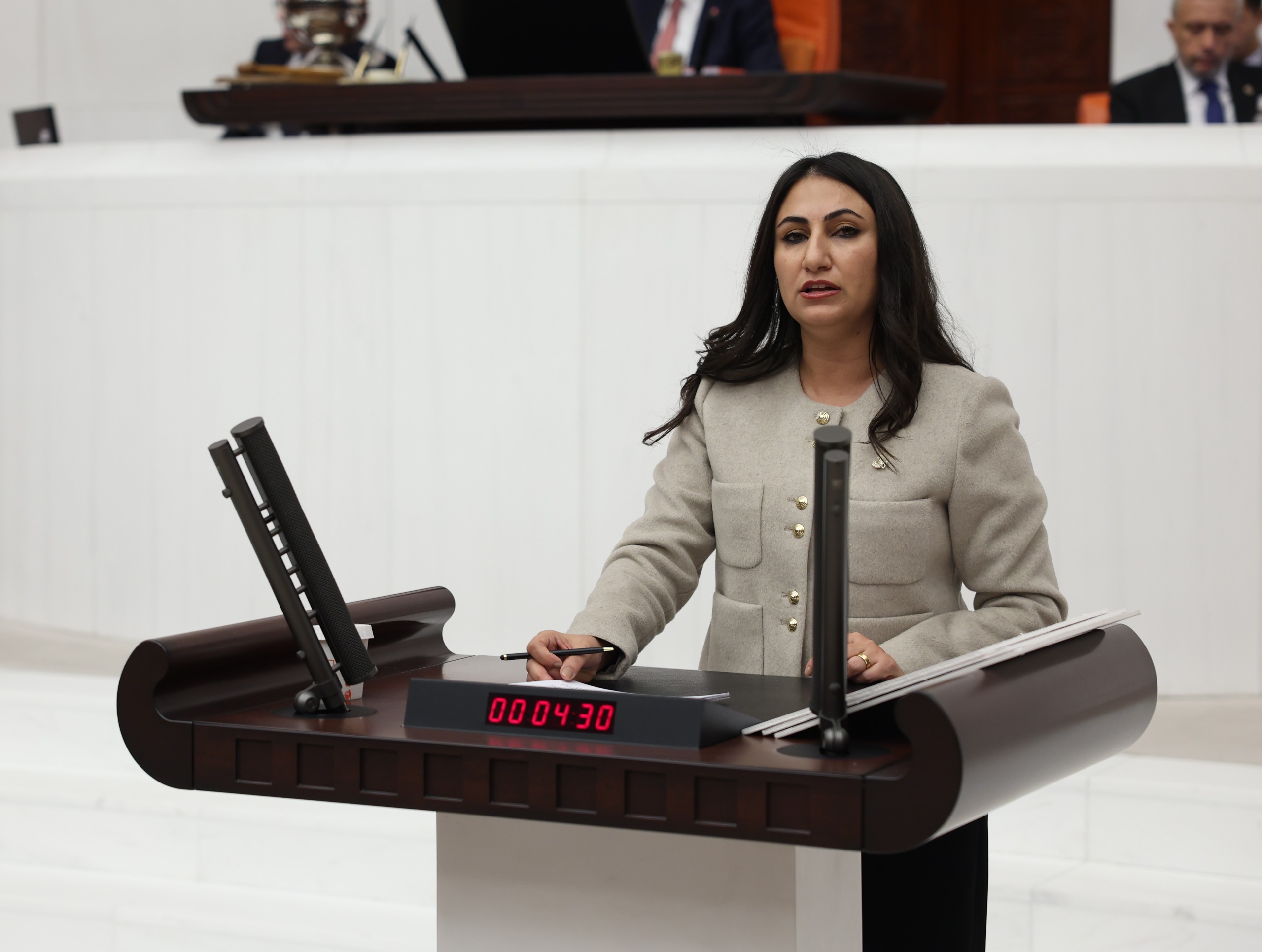 DEM Partili Oduncu o tehlikeye dikkat çekti