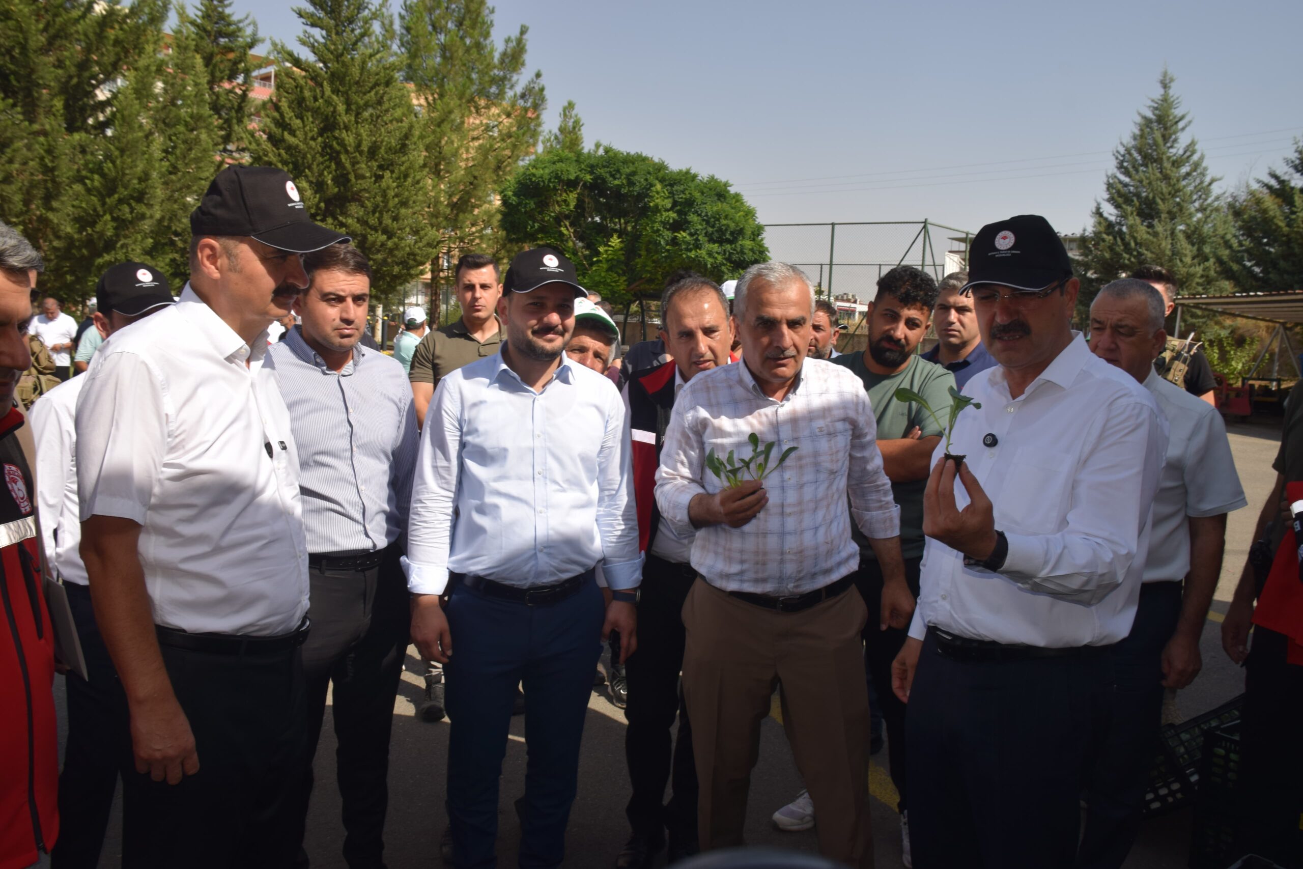 64 Üreticiye 210 Bin Hibrit Sebze Fidesi Dağıtıldı