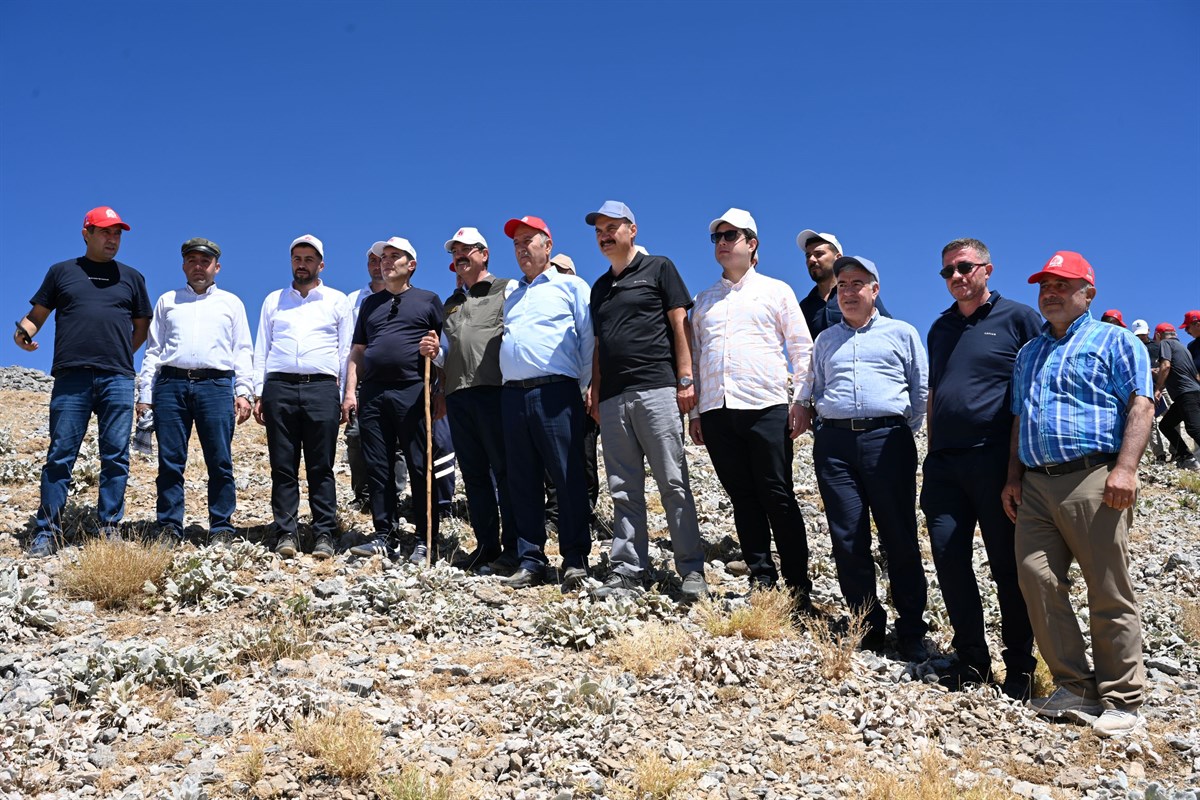 Mereto cazibe merkezi olacak