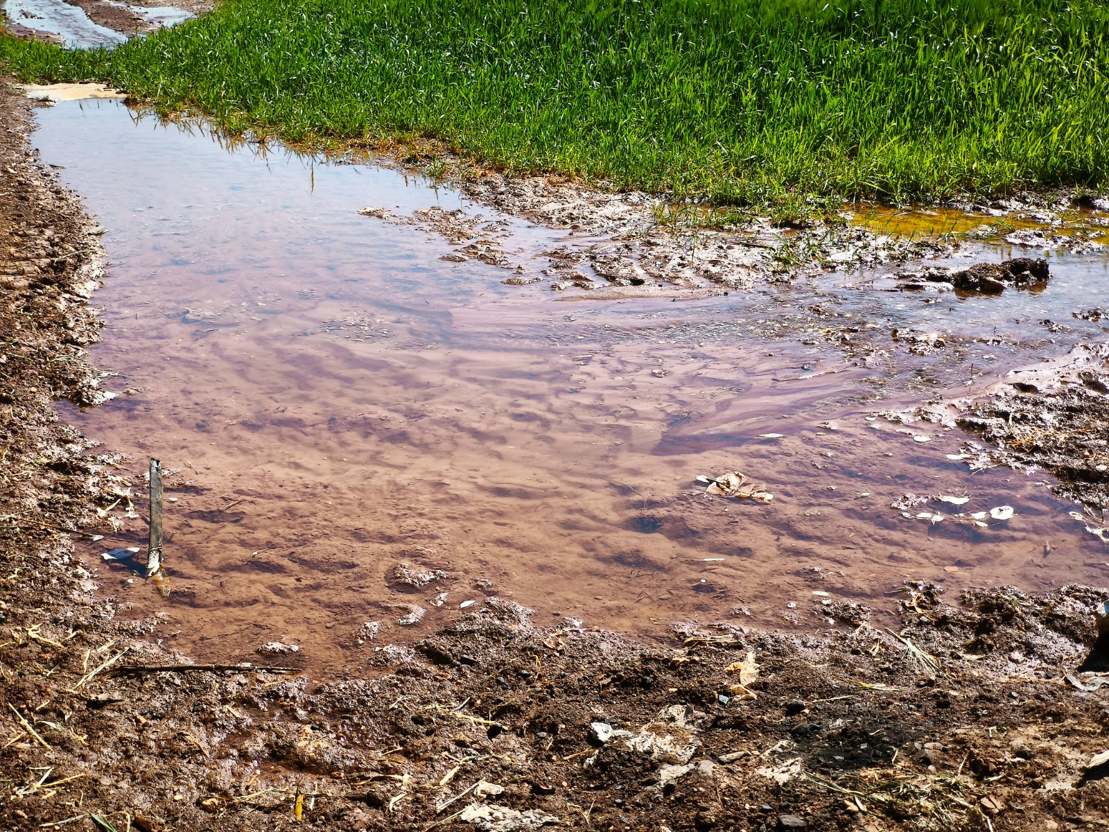 Batman ve bölge illerine kritik uyarı