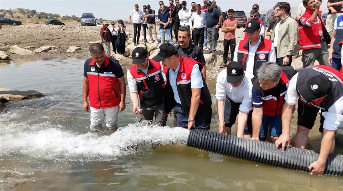 Batman Baraj Gölü’ne 2 milyon balık yavrusu bırakıldı