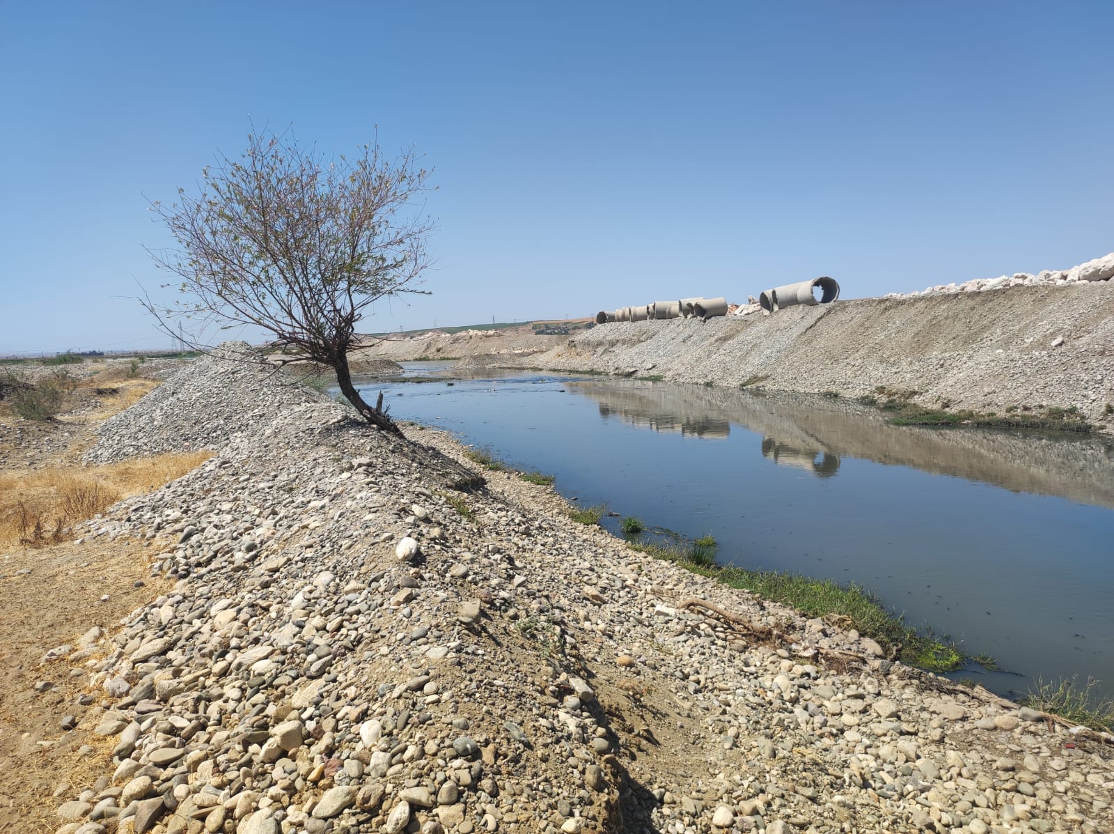 Batman Çayı’nda büyük tehlike