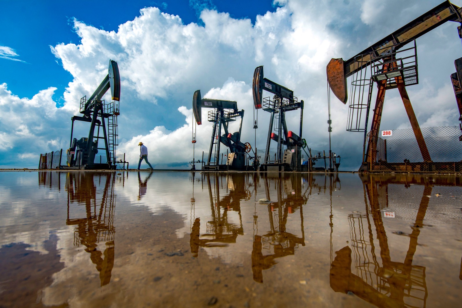 TPAO’dan flaş Batman kararı!