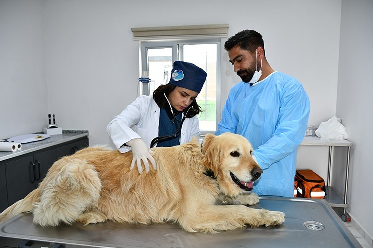 Batman’da 145 ton yemek artığı toplandı