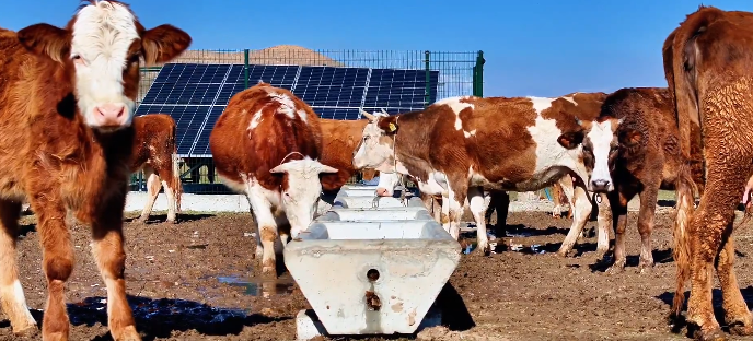 Batman’da 40 köye o proje devam ediyor