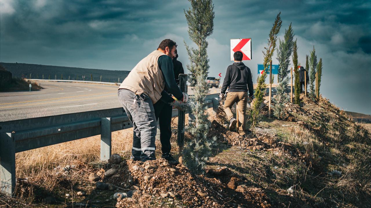 Batman yeşil kuşak projesi hız kesmiyor