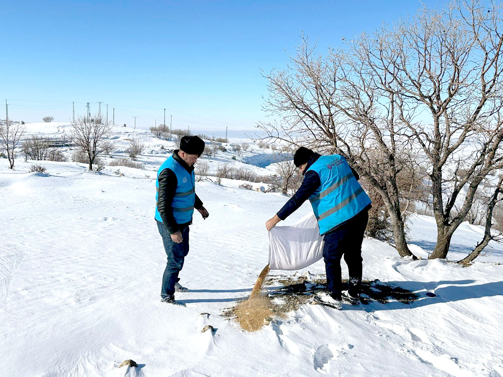Batman’da yaban hayatına yem desteği