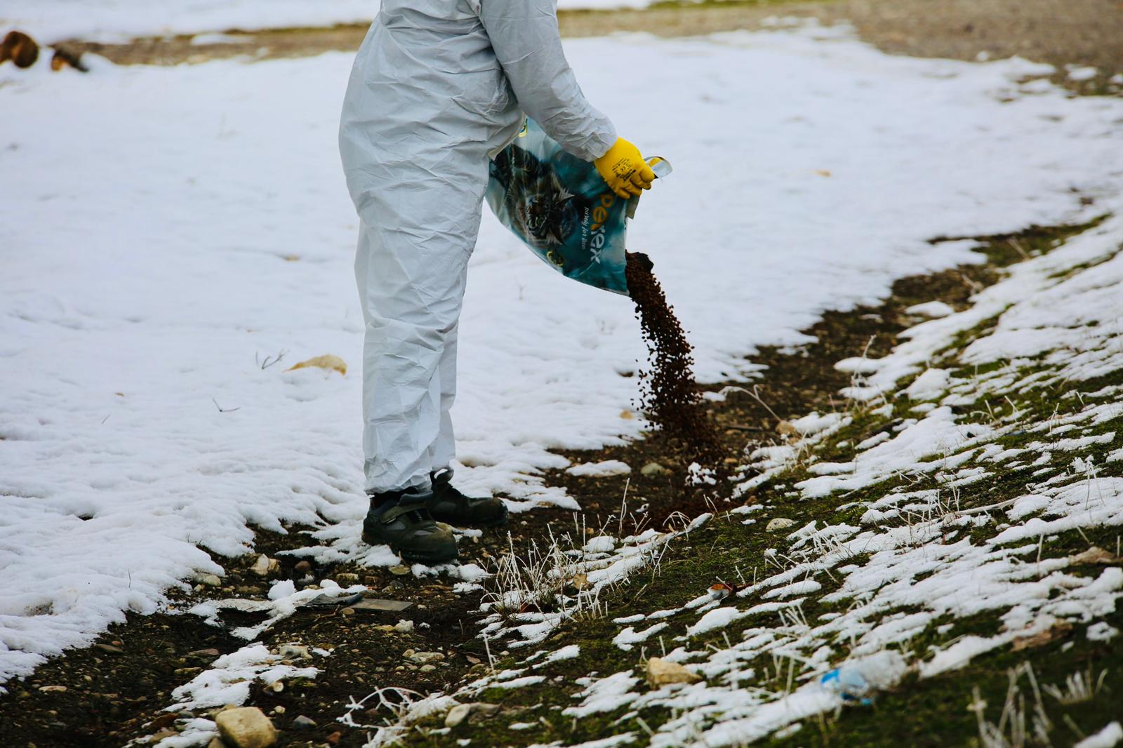 Belediye kendi ürettiği mamalarla sahada