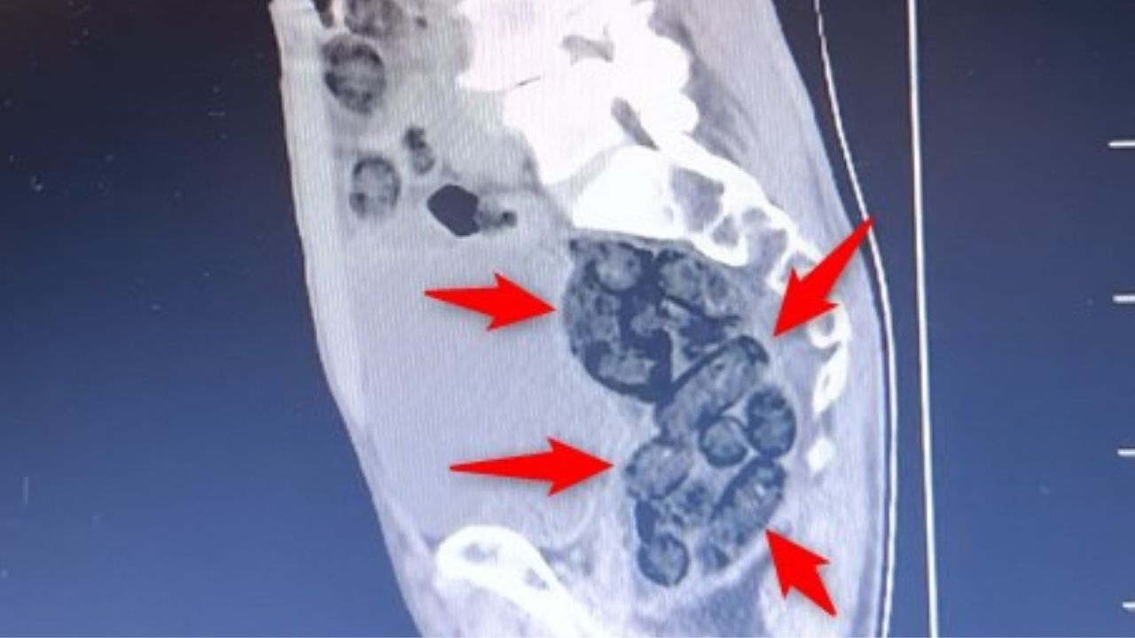 Batman’da akıllara durgunluk veren olay