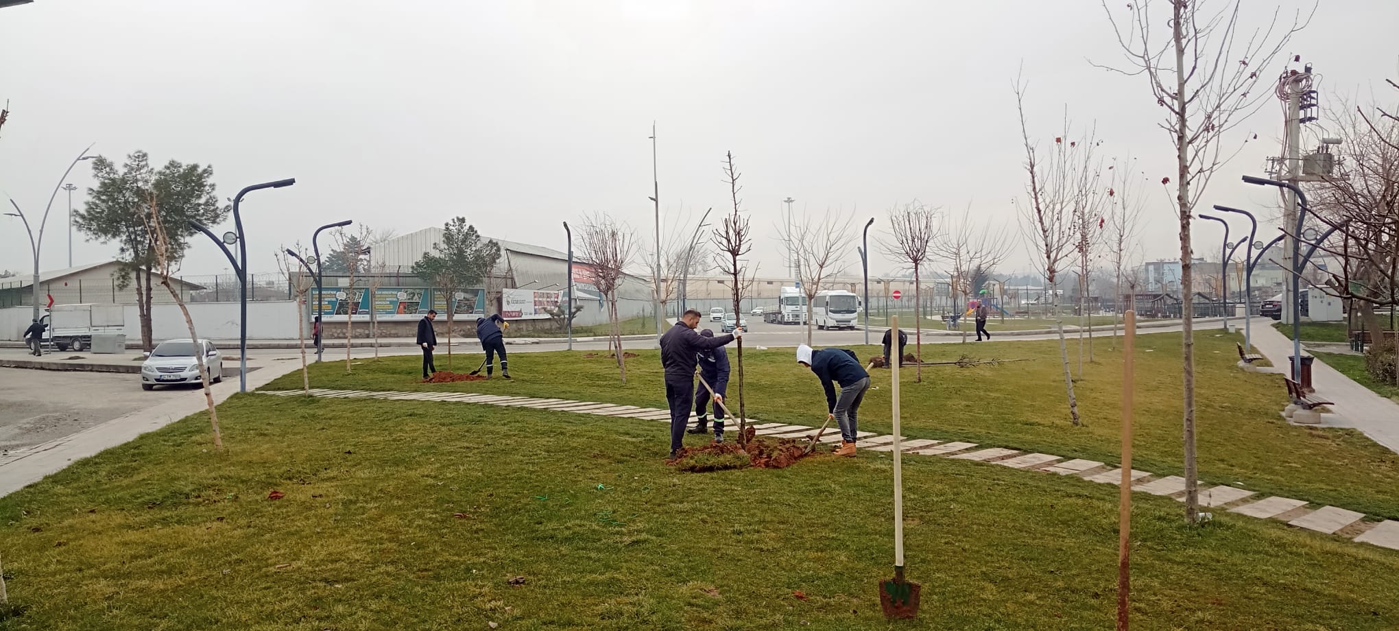 Batman’da 250’den fazla fidan toprakla buluşuyor