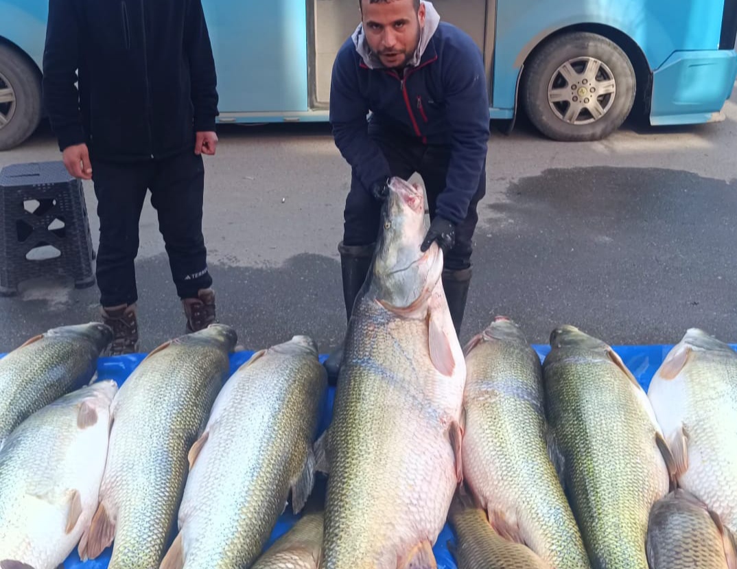 Batman’da bu balık şaşkınlık yarattı
