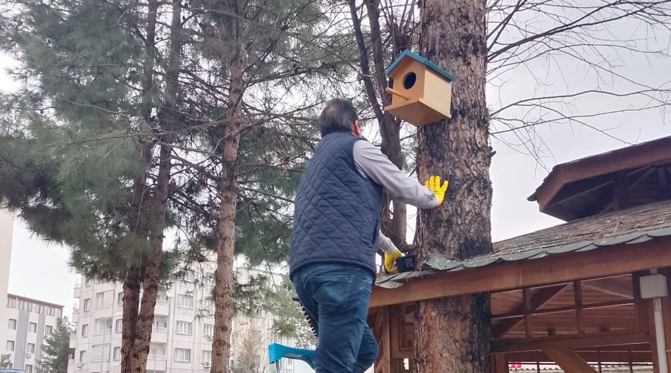 Mobilya atıkları kuşlara ‘sıcak yuva’ oldu