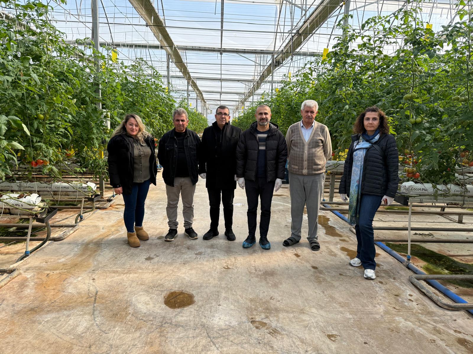 Sera OSB ile topraksız tarım dönemi başlıyor