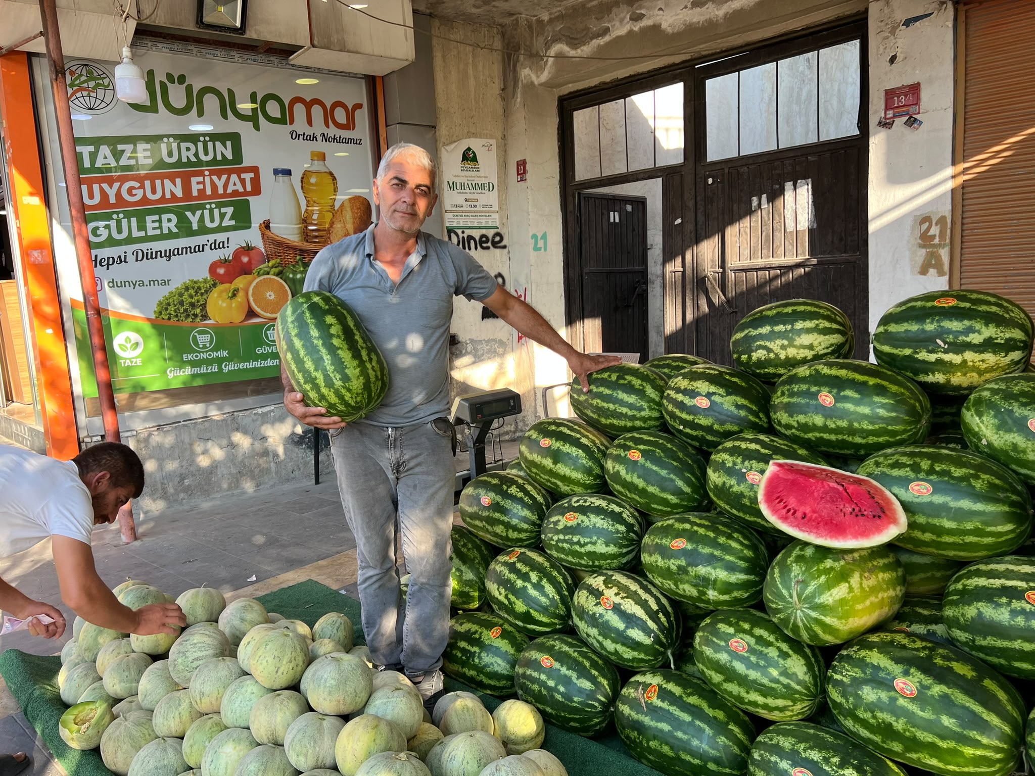 Karpuzun iyisini tek tek seçiyor